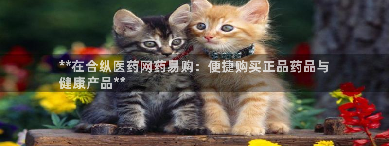 j9九游会登录入口首页新版