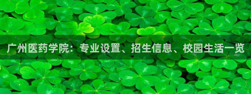 九游会 app