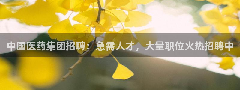 九游会官网站