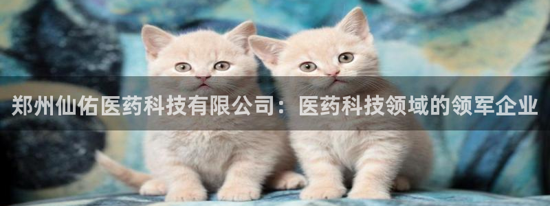 九游会 ag