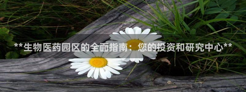 J9九游会九游国际版