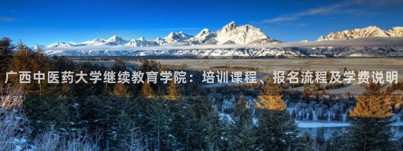 J9九游会J9