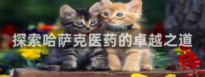 九游会进入