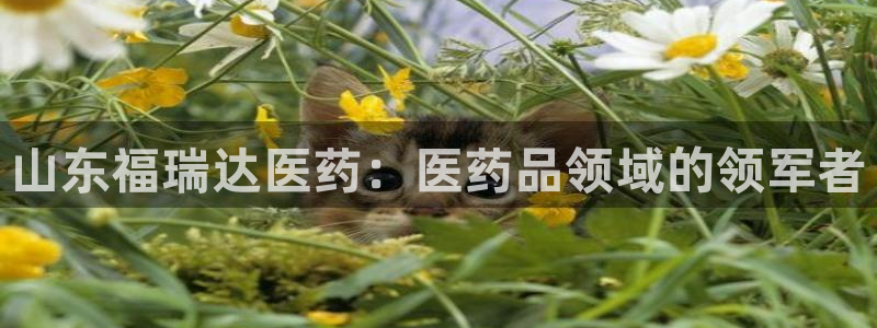 九游会官网老哥俱乐部