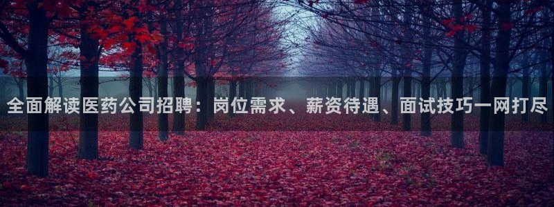 九游会个人中心登录页面