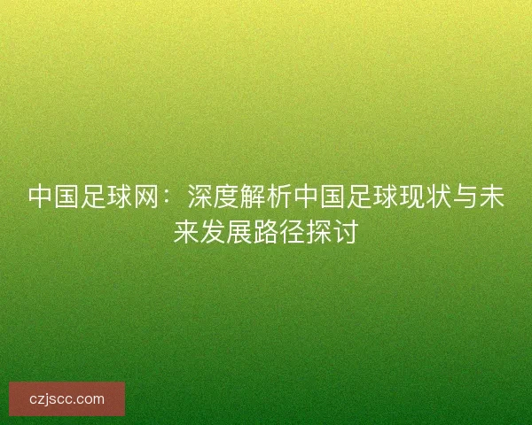 中国足球网：深度解析中国足球现状与未来发展路径探讨